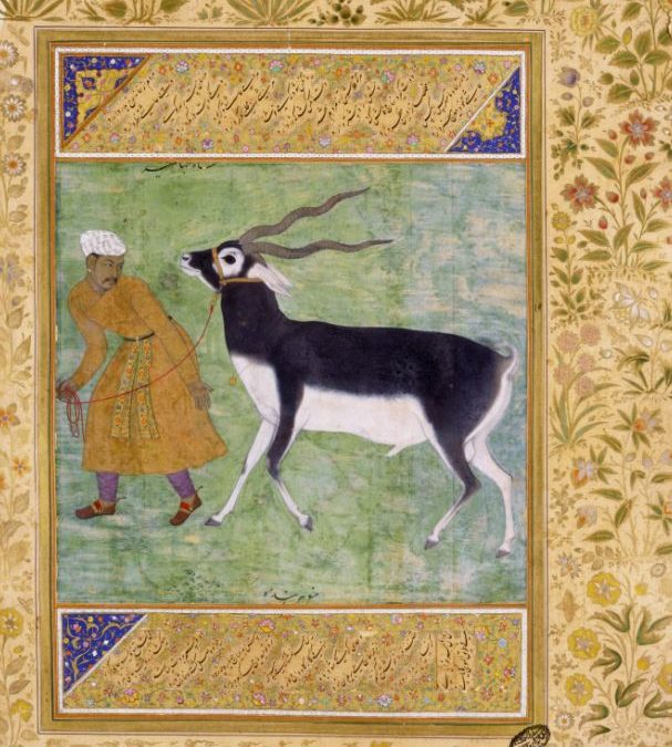 Mughal Paintings from the V & A